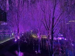 -北川巴拿恰