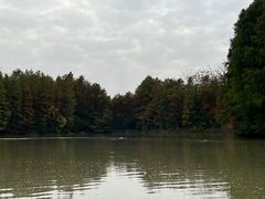 -上海海湾国家森林公园