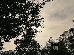 -塔子山公园