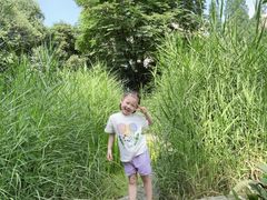 -成都市活水公园