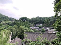 -龙井村