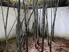 -天下玉苑