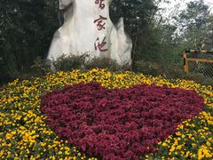 -习家池
