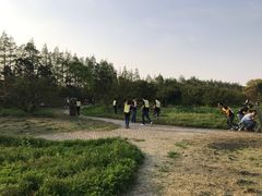 -上海长兴岛郊野公园