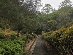 -桃花岭景区