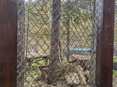 -横道河子东北虎林园