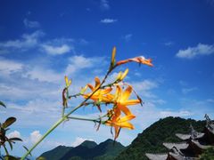 -塔云山