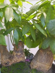 -吉艺心专业美发造型