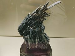 -甘肃地质博物馆