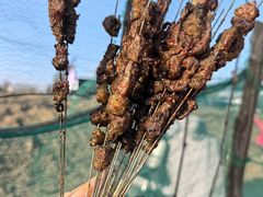 -西安软件新城软件研发基地2期