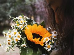 -蜀冈西峰生态公园