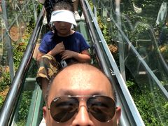 -牛鱼嘴原始生态风景区