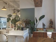 大堂-吉丁鸟咖·异宠·寄养