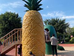 -琅岐红光湖公园