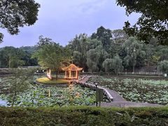 -西南交通大学(峨眉校区)