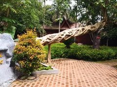 -瑞丽独树成林风景区