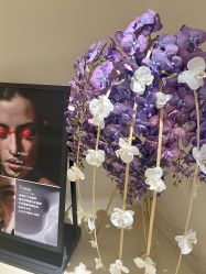 -紫御国际抗衰ZOE ANTI AGING