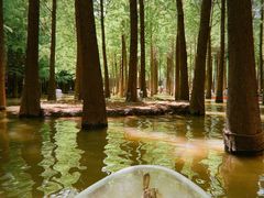 -捞渔河湿地公园
