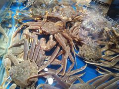 -盒马鲜生(悦峰店)