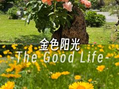 -郑州植物园