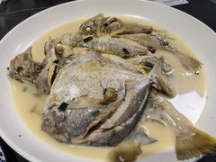 -杨记海鲜楼(三门黑金冠店)