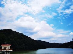 -火炉山森林公园