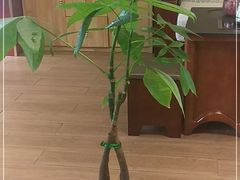 -益康盲人推拿按摩(长虹店)