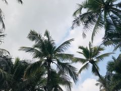 -三亚蜈支洲岛旅游区