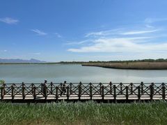 -野鸭湖国家湿地公园