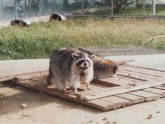 -秦皇岛野生动物园