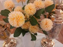 -茜尔维亚修身连锁(八佰伴店)