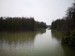 -上海海湾国家森林公园