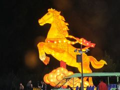 -山西体育中心红灯笼体育场