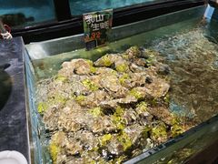 -快乐海鲜酒楼(滇池路店)