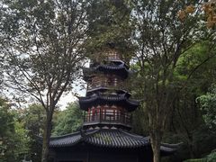 -上海佘山国家森林公园西佘山园