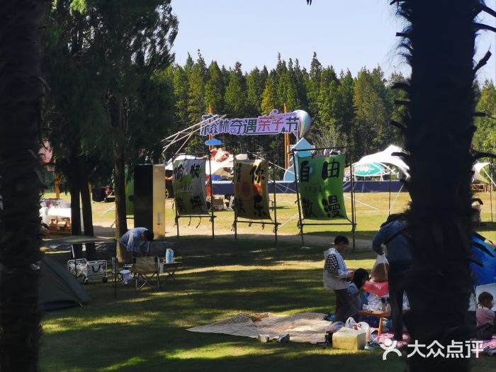 黄海国家森林公园图片