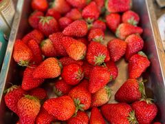 -吴淞炮台湾湿地森林公园烧烤区