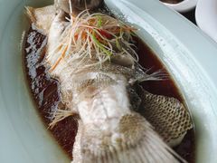 清蒸鲈鱼-丽华园(汉阳龙阳店)
