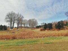 -长春世界雕塑园冰雪艺术天地