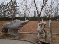 -西海子公园