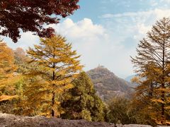 -莫干山风景区