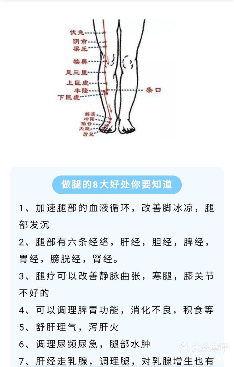 腿部经络图6条的位置图片