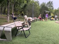 -爪吧宠物乐园·宠物泳池(温榆河示范区店)