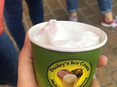 -Dooley's Premium Ice Cream
