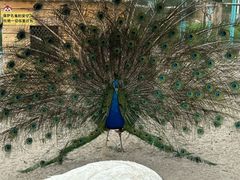 -水上乐园·欢乐世界