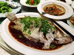 清蒸鳜鱼-南来顺饭庄·清真(南菜园店)
