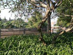 -晓港公园