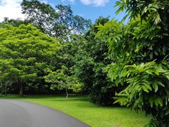 -中国科学院西双版纳热带植物园