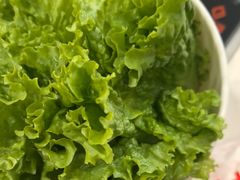 -草原传奇鲜羊火锅(桥北店)