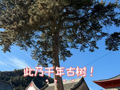 -五台山风景名胜区